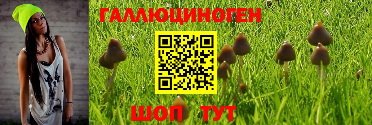 Галлюциногенные грибы MAGIC MUSHROOMS  хочу наркоту  Вход с VPN  Чистополь  Псилоцибиновые грибы прущие грибы 